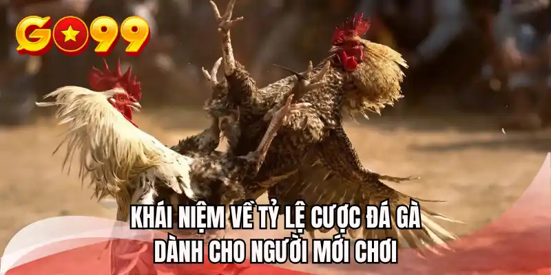 Khái niệm về tỷ lệ cược đá gà dành cho người mới chơi